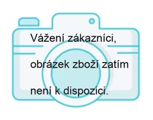 2010